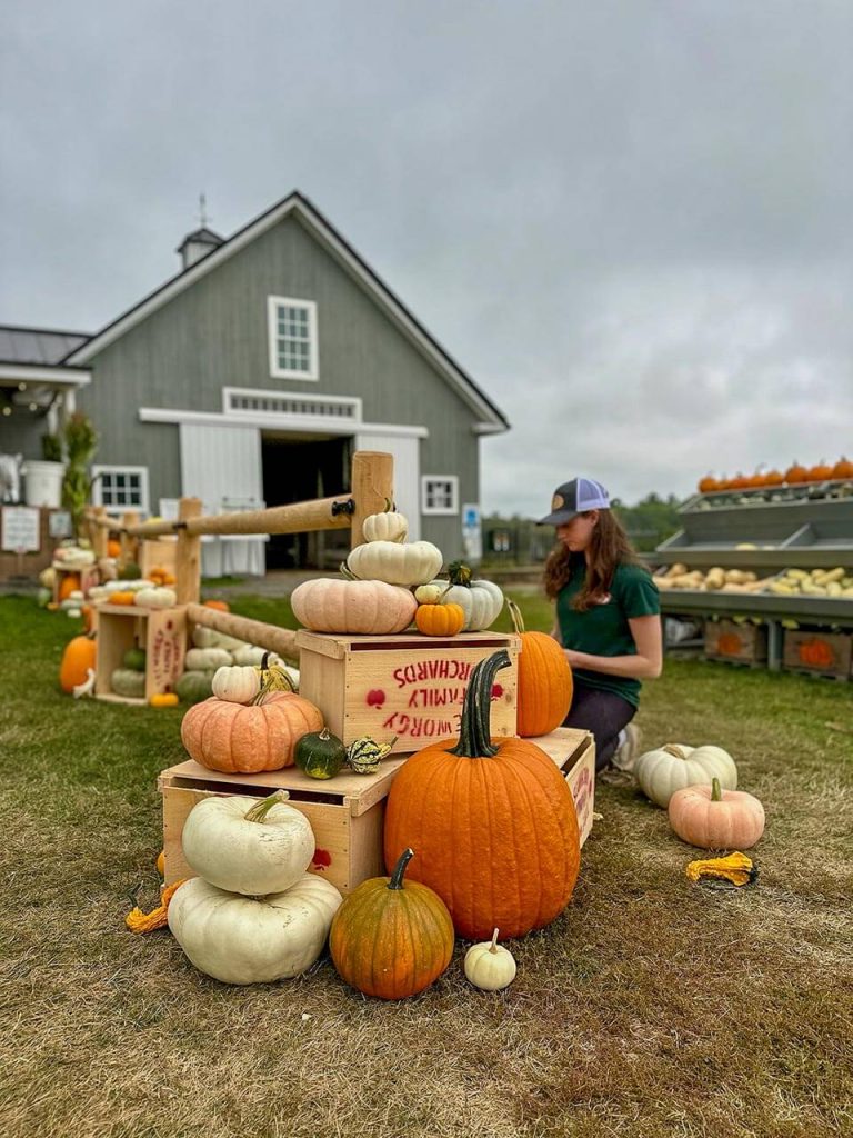 A photo of a person outside a barn with lots of pumpkins
