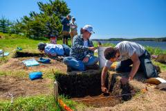 Archaeology fieldwork