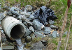 test your stormwater knowledge link