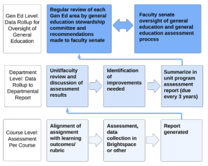 Flowchart image of the three year assessment process.