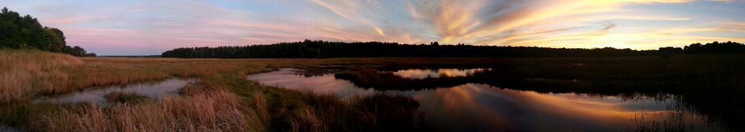 Bri takes great marsh panos