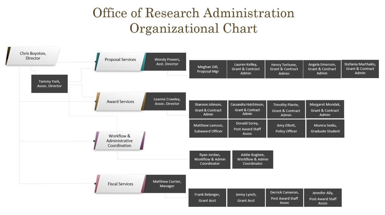 Hierarchical chart graph image of department staff