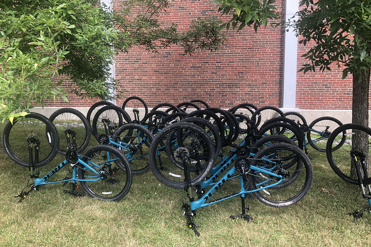 Bike Maintenance