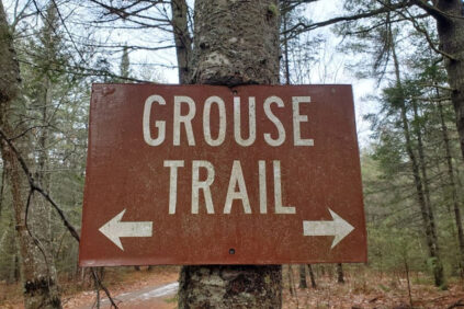 Sign that says Grouse Trail