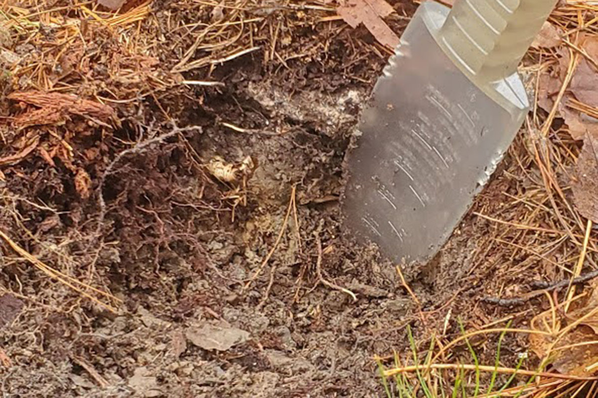 dig a hole for human waste