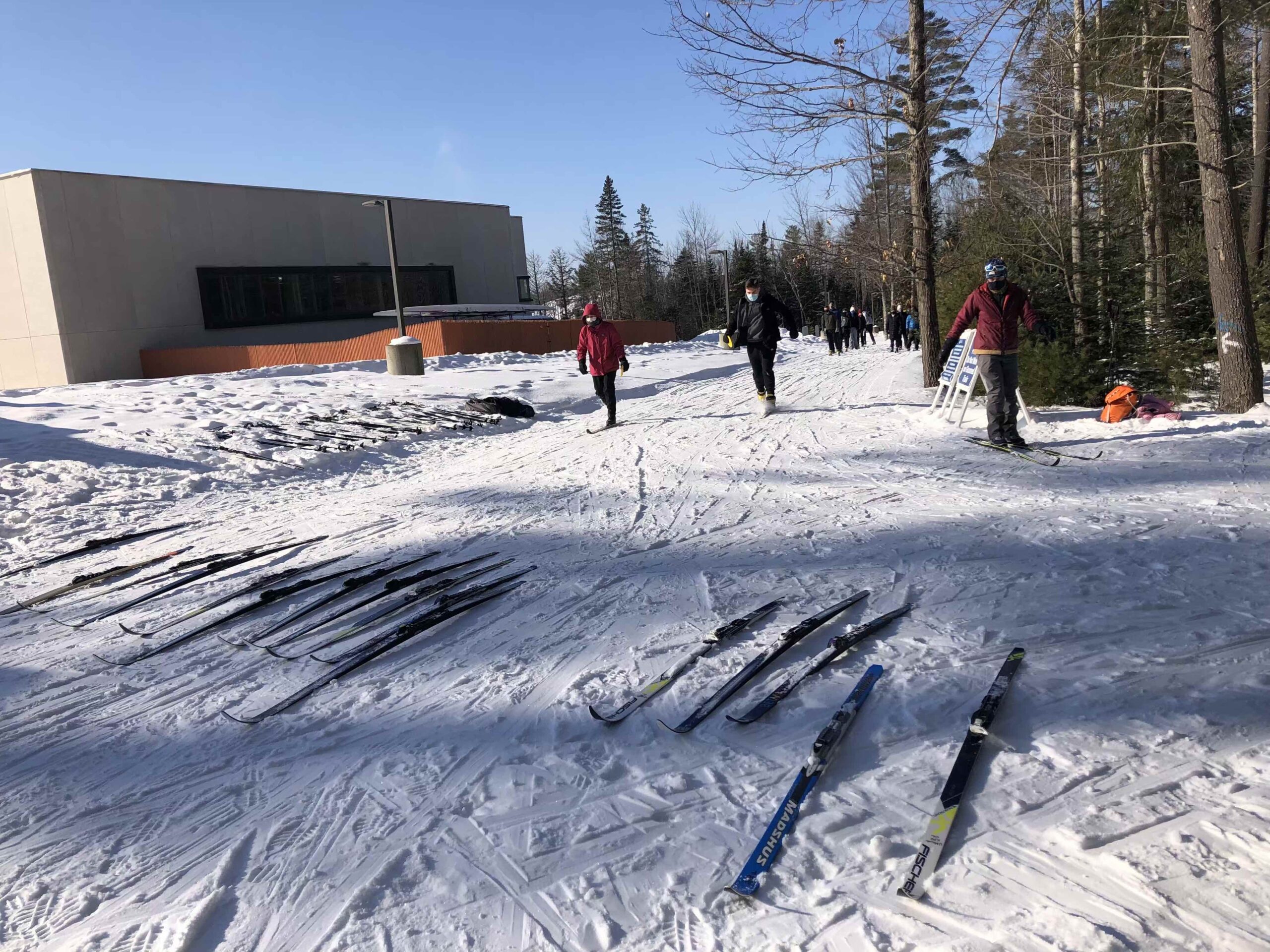 line of xc skis in snow with skiers in background