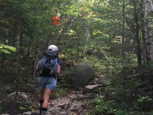 Hiker along wooded trail with rocks.