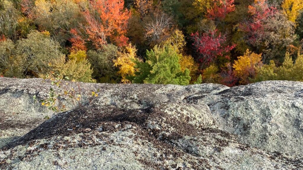 Rocks with lichen and trees in distance with green, yellow, orange, and red leaves.