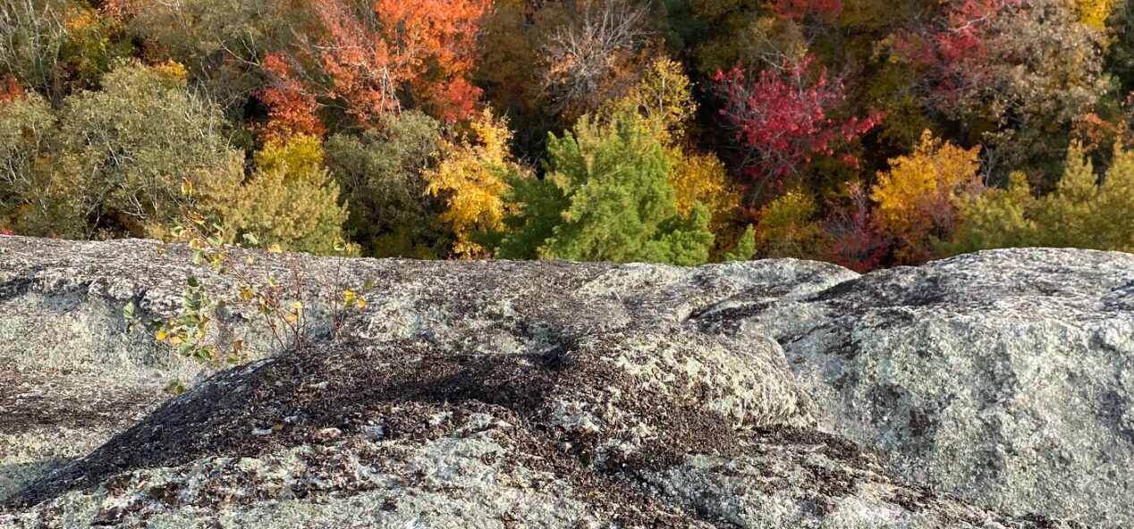Rocks with lichen and trees in distance with green, yellow, orange, and red leaves.