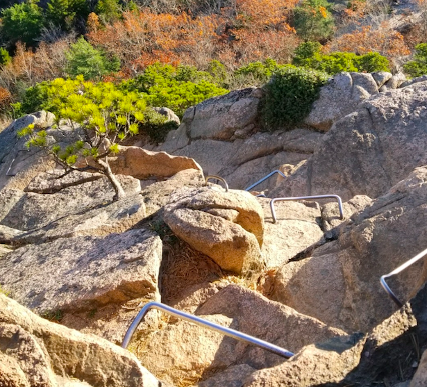 Looking down a steep trail with rungs installed into rocks to aid climbing.