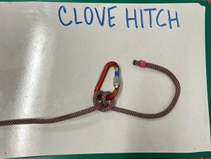 carabiner with rope below the words 'clove hitch'