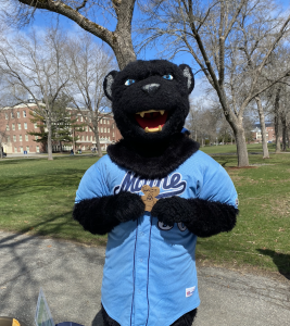 UMaine's Mascot "Bananas" the Black Bear