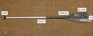 Canoe paddle labelled with the following parts: grip, shaft, throat, blade, and tip.