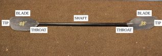 Kayak paddle labelled with the following parts: shaft, throat, blade and tip.