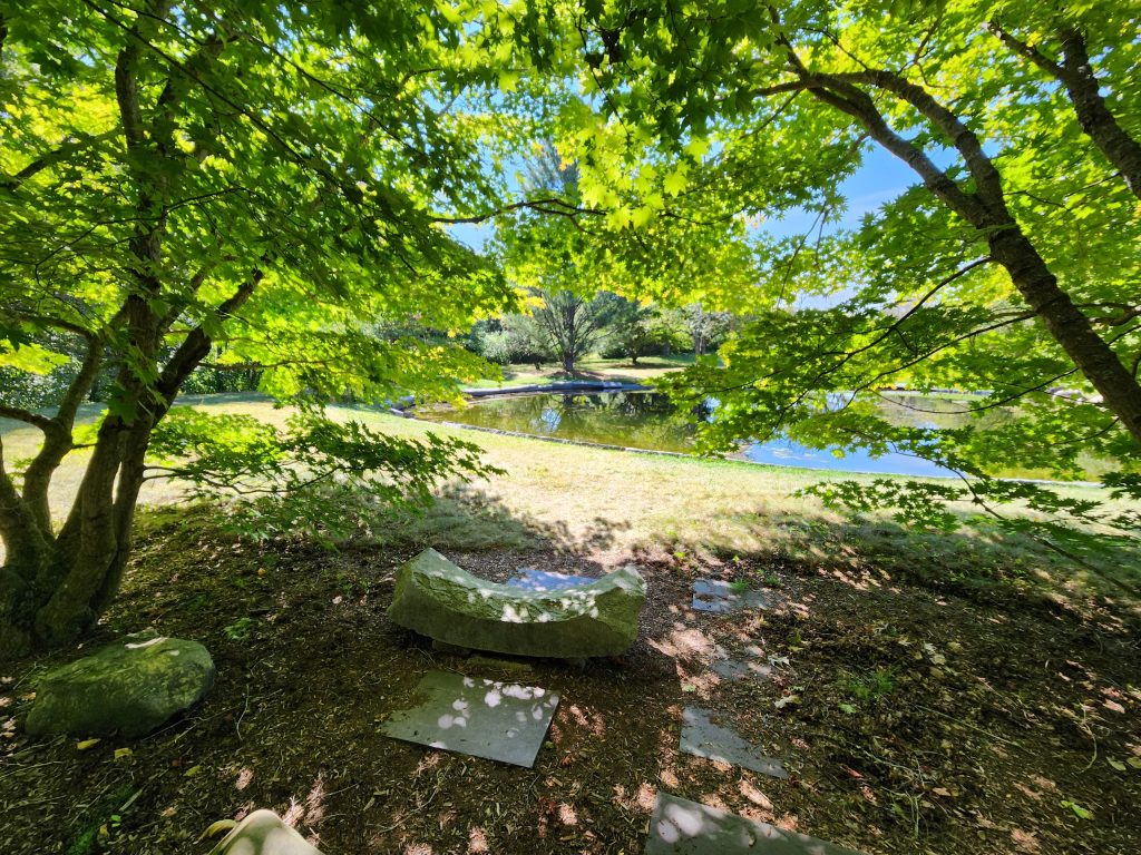 Pond in the Littlefield Garden.