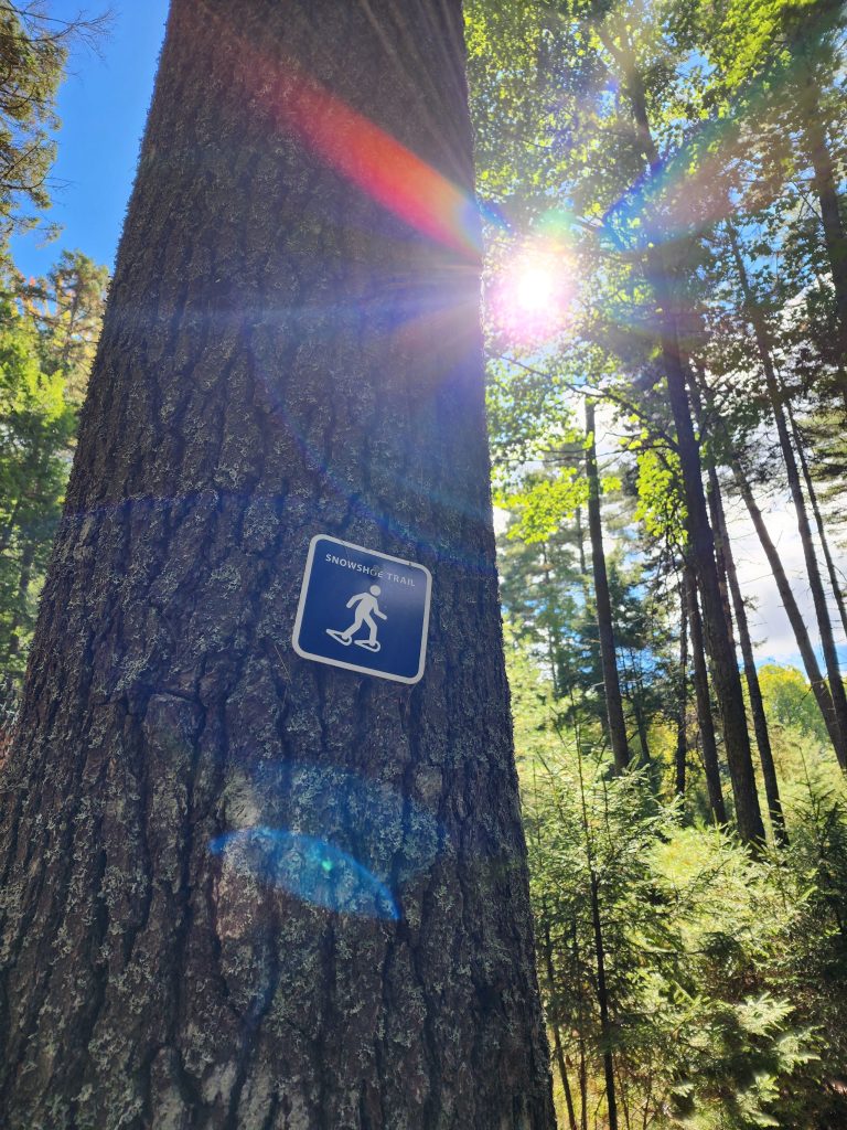 Snowshoe trail in the University Forest.