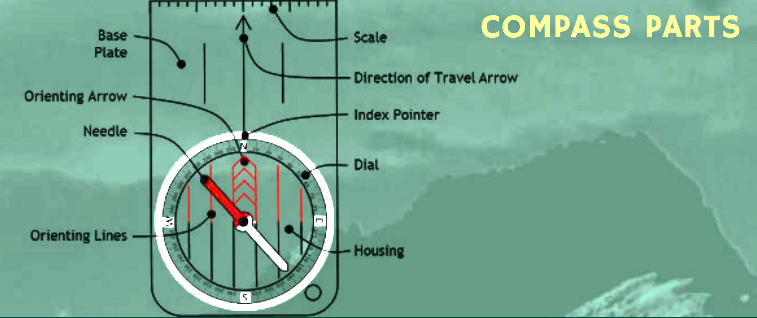 Diagram labelling the different parts of a compass