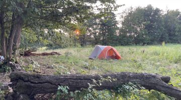 Image of a tent set up on the corner edge of a grassy field.