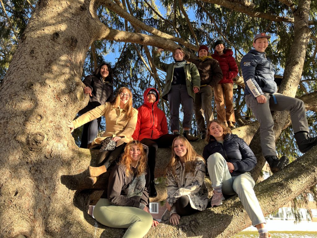 Ten students posing for a picture on the branches of a big spruce tree.