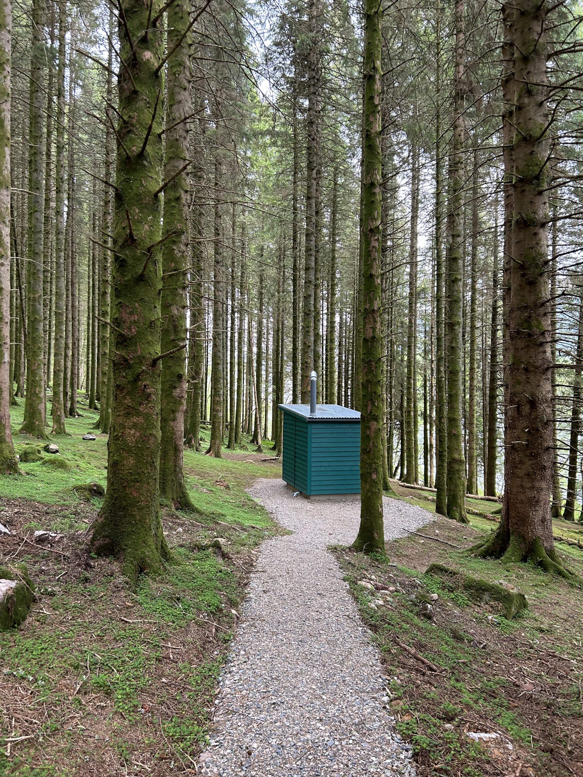 Image of an outhouse on a wooded gravel path.