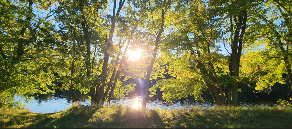 Sunset by the river at the Botanical Gardens.