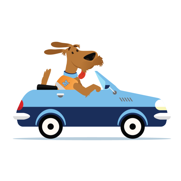 Buttercup driving a car