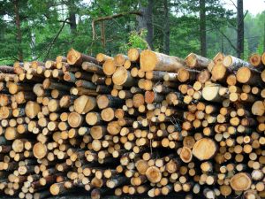 woodpile-3-1229344-1280x960