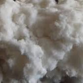wood pulp