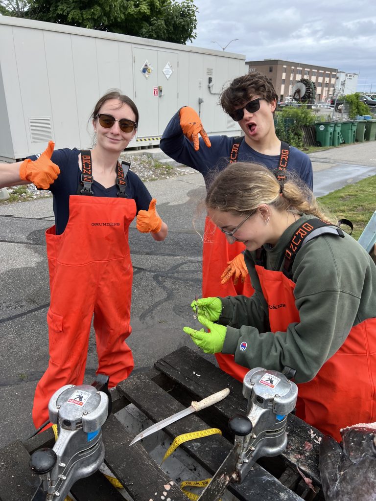 Pelagic Fisheries Lab interns, Olivia, Ben, and Emma sampling an Atlantic bluefin tuna.
