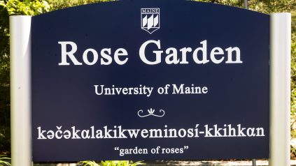 A photo of the sign at the Rose Garden