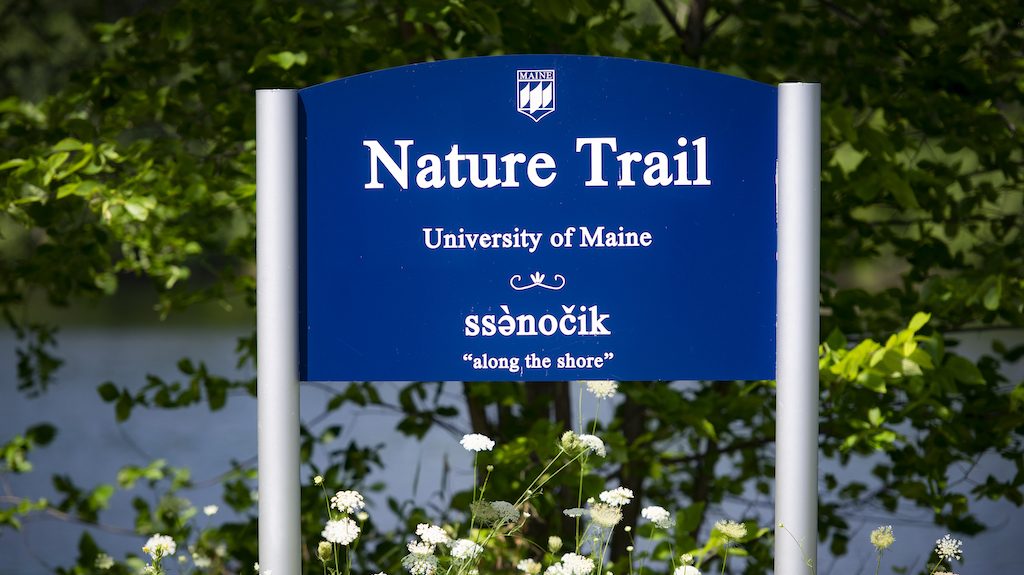 A photo of the Nature Trail sign