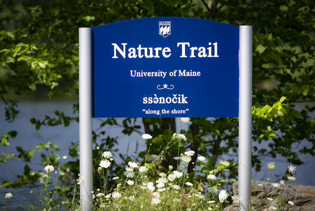 A photo of the Nature Trail sign