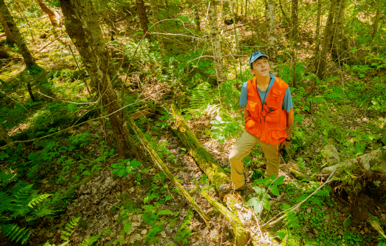 A photo of Alan Chausse in the forest