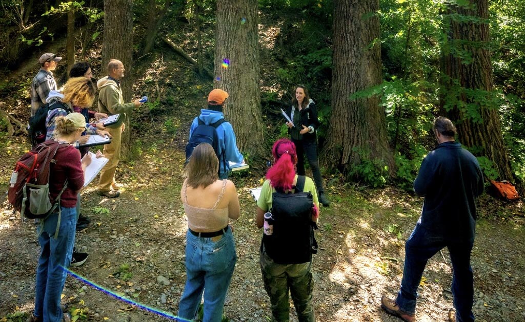 A photo of students learning in the woods