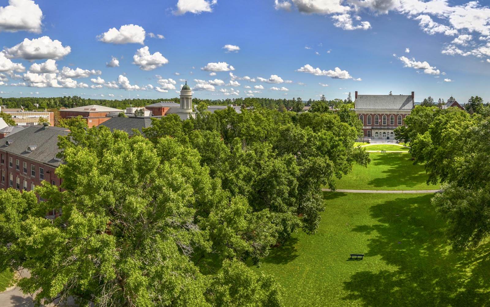 A photo of UMaine's Mall in summer