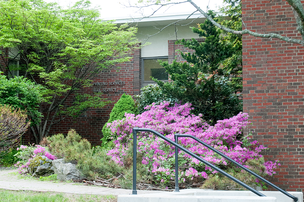 Keyo Public Affairs Building in spring