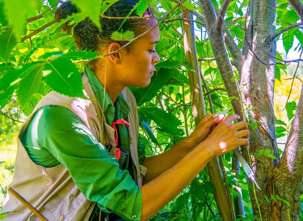 A photo of a student in the forest