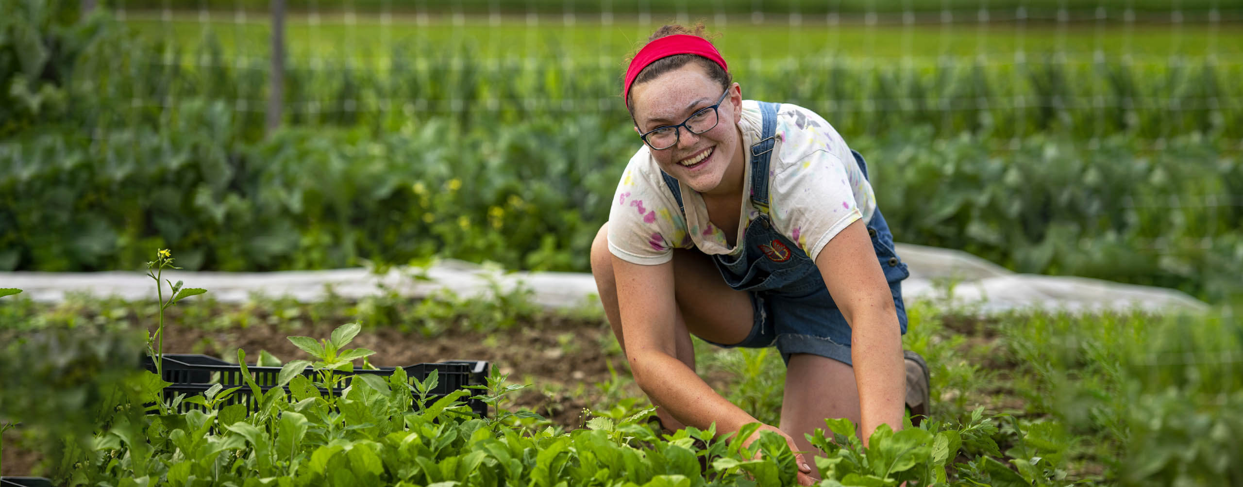 A photo of a woman in a field