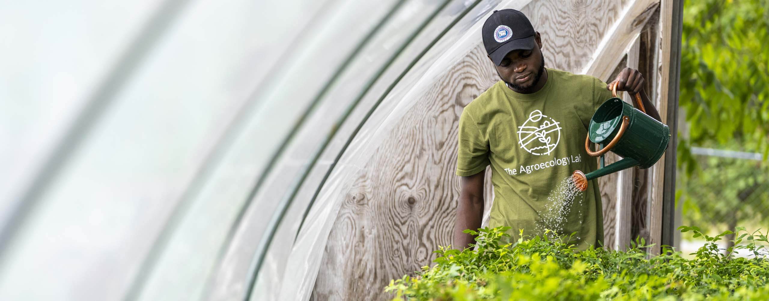 A photo of a person using a watering can to water plants in a greenhouse