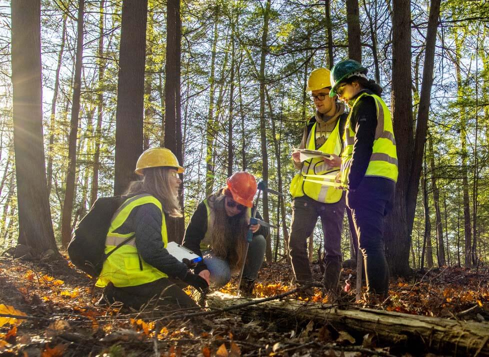 A photo of students in the forest