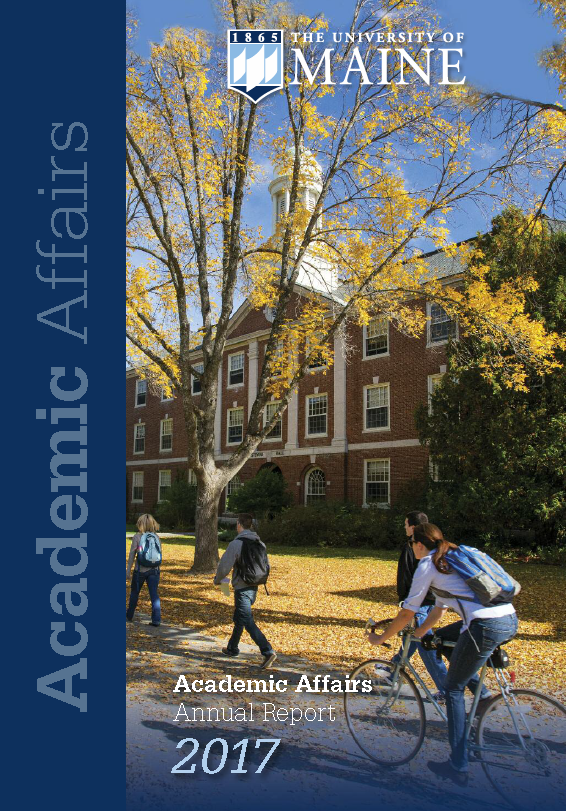 Academic Affairs Annual Report 2017 cover image