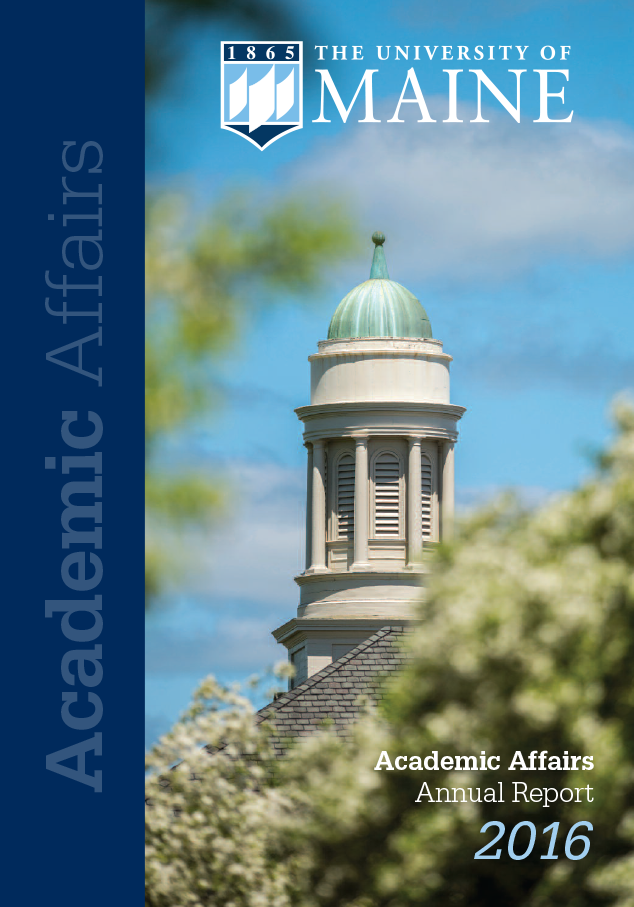 Cover image of 2016 Academic Affairs annual report