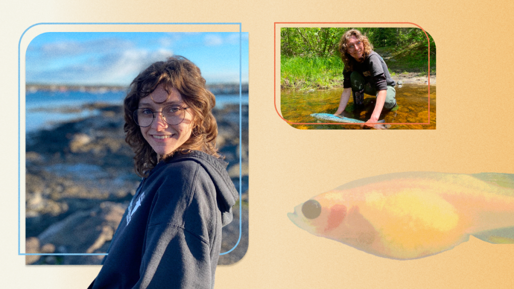 An image collage featuring an image of Lillian Warwick.