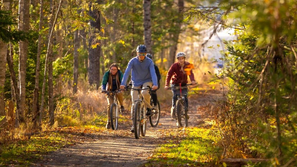 A photo of people biking on a forest trail in fall