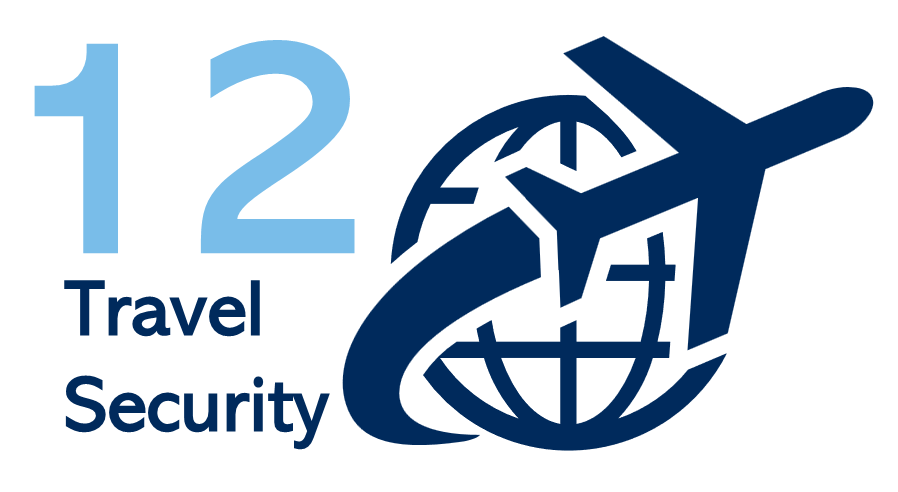 Travel Security Icon