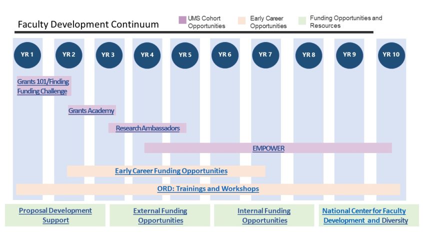 Faculty Development Continuum Gannt chart