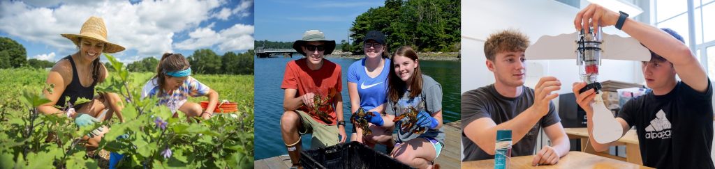 2 students researching in a potato field, 3 students researching lobsters, 2 students designing space modules