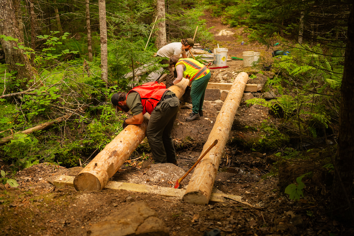 A photo of students helping to build a trail bridge