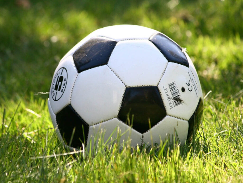 A soccer ball on grass
