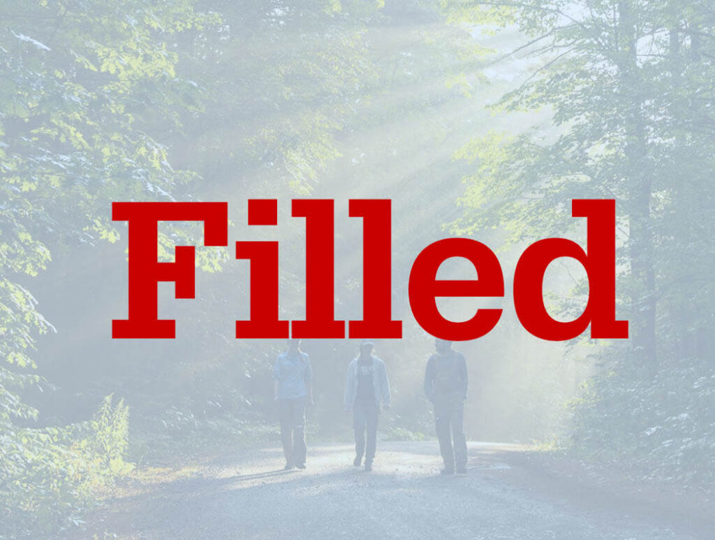 Three students walk in the woods